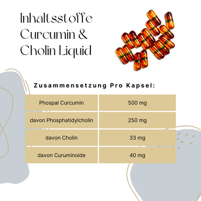 Curcumin & Cholin Liquid